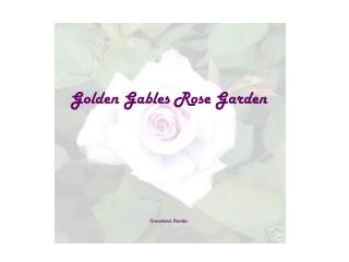 Golden Gables Rose Garden Groveland, Florida
