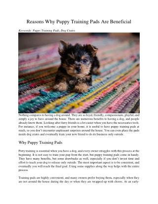 Reasons Why Puppy Training Pads Are Beneficial