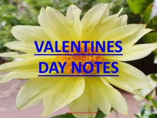 Happy Valentines DAy Notes short and Long