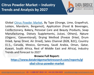 Citrus Powder Market Size, Trends, Growth - Forecast 2027