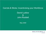 Carrots Sticks: Incentivising your Workforce David Ludlow John Ruddell May 2009