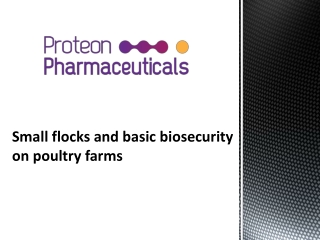 Small flocks and basic biosecurity on poultry farms