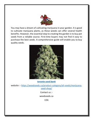 Marijuana Seeds in Canada | Weedseeds.ca