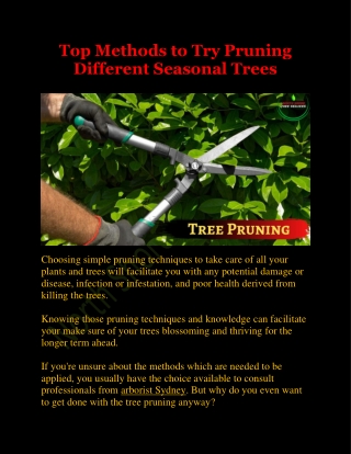 Top Methods To Try Pruning Different Seasonal Trees