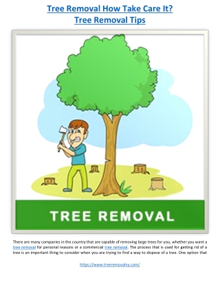 Tree Removal How Take Care It