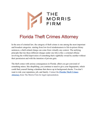 Florida Theft Crimes Attorney