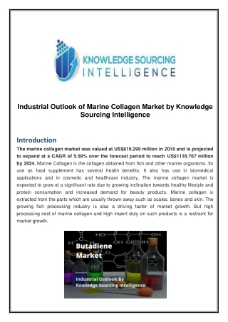 Industrial Outlook of Marine Collagen Market