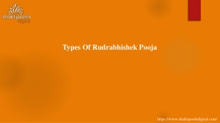 Types of Rudrabhishek Pooja