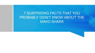 7 SURPRISING FACTS THAT YOU PROBABLY DIDN’T KNOW ABOUT THE MAKO SHARK