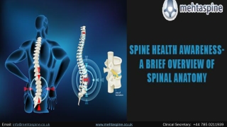 Spine Health Awareness- A Brief Overview of Spinal Anatomy |Mehta Spine