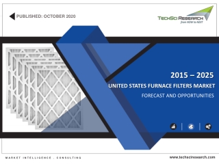 United States Furnace Filters Market Size, Share & Forecast 2025