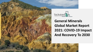 General Minerals Market Share, Growth And Global Industry Analysis By 2025