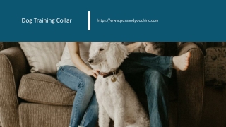 Dog Training Collar file