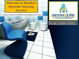 House Cleaning Services Roanoke VA