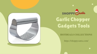 Garlic Chopper Gadgets Tools Online at ShoppySanta