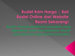 Bustel Ulasan 2021: [PERINGATAN] Apakah Itu Benar-benar Bekerja?