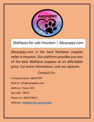 Maltipoo for sale houston | Abcpuppy.com