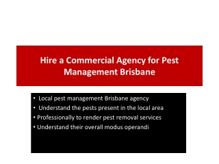 Hire a Commercial Agency for Pest Management Brisbane