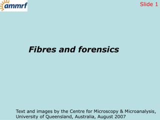 Fibres and forensics