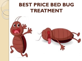 A thorough solution with best bug heat treatment