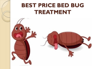 A thorough solution with best bug heat treatment