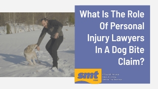 What Is The Role Of Personal Injury Lawyers In A Dog Bite Claim?