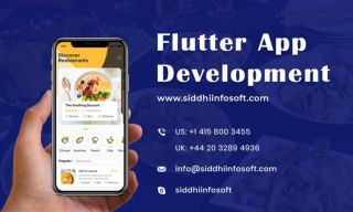 Flutter App Development Company USA | Flutter Application Developer