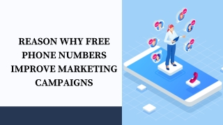 Reason Why Free Phone Numbers Improve Marketing Campaigns