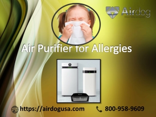 Buy the best models of Air purifier for Allergies at discount price | Airdog USA