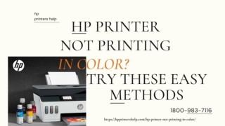 HP Printer Not Printing in Colour 1-8009837116 HP Printer Not Printing Fixes