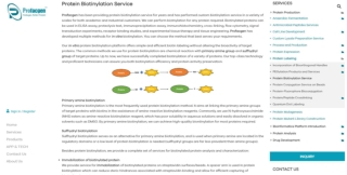 Protein biotinylation