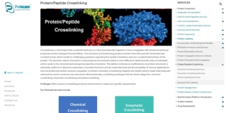 Protein Crosslinking