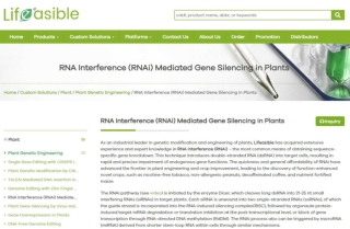 RNA Interference Mediated Gene Silencing