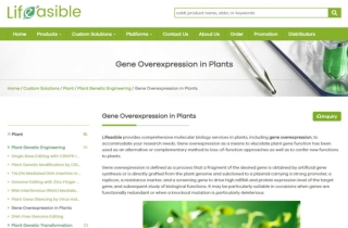 Gene Overexpression in Plants