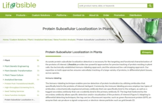 Protein Subcellular Localization