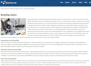 Morphology Analysis