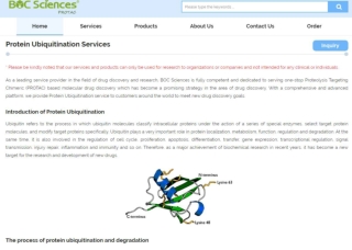 protac ubiquitin ubiquitin proteasome degradation ubiquitin and protein degradation ubiquitination assay protocol ubiqui