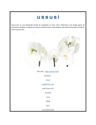 Orquideas en Lima | Ussusi.com