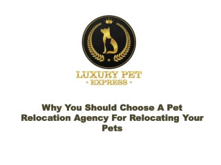 Why You Should Choose A Pet Relocation Agency For Relocating Your Pets