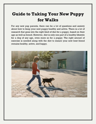 Guide to Taking Your New Puppy for Walks