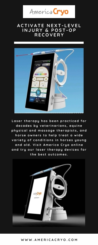 Shockwave Therapy for Horses