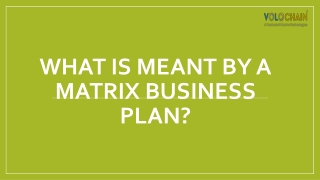 What is Meant by a Matrix Business Plan?