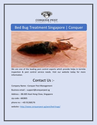 Bed Bug Treatment Singapore | Conquer Pest