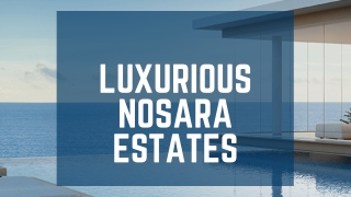 Nosara Estate - Make Your First Move