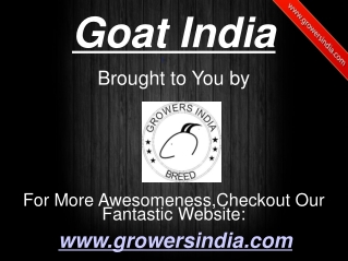 Goat India