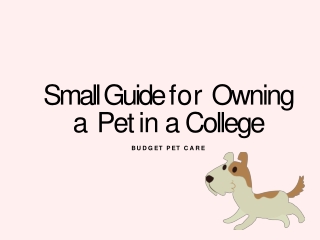 Small Guide for Owing a Pet in a College