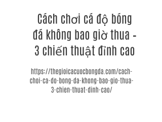 Cách chơi cá độ bóng đá không bao giờ thua – 3 chiến thuật đỉnh cao