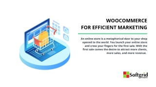 WooCommerce for Efficient Marketing
