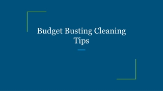 Budget Busting Cleaning Tips