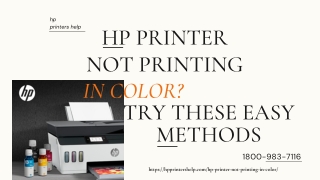 Hp Printer Not Printing In Color 1-8009837116 Hp Printer Not Printing Anything